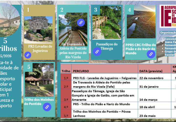 Os Melhores Trilhos 2025/2026